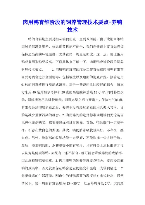 肉用鸭育雏阶段的饲养管理技术要点 - 养鸭技术