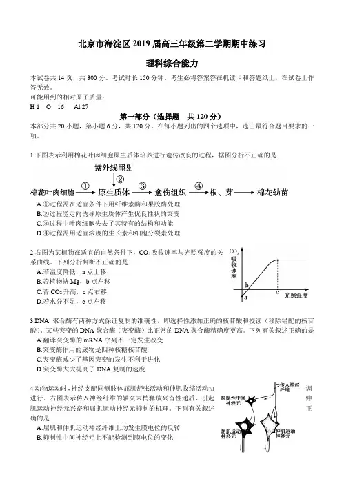 北京市海淀区2019届高三年级第二学期期中练习理综