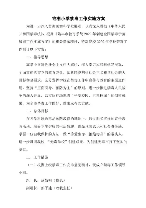 锦湖小学禁毒工作实施方案