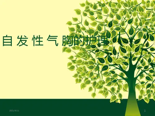 自发性气胸ppt课件