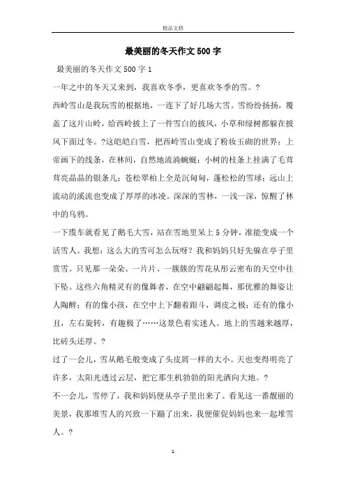 最美丽的冬天作文500字