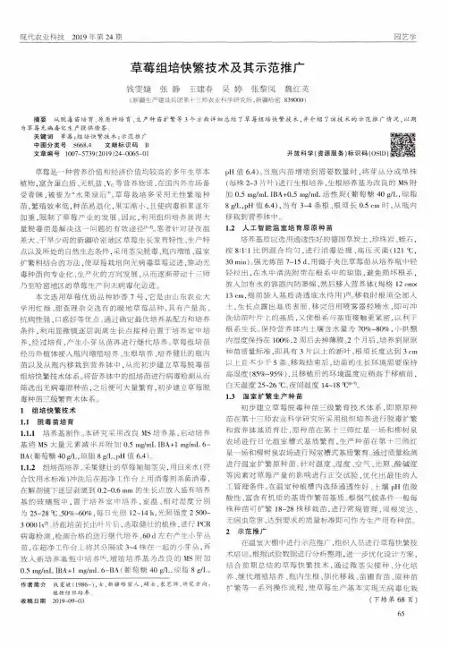 草莓组培快繁技术及其示范推广