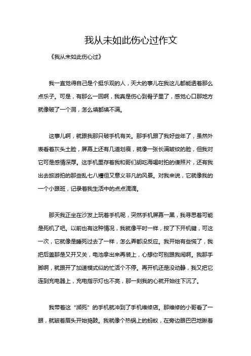 我从未如此伤心过作文