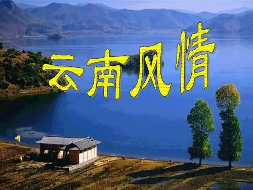 16 云南的歌会优秀课件