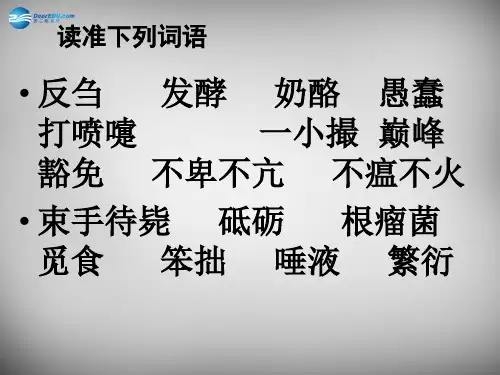 公开课教案教学设计课件北师大初中语文八下《细菌的启示》PPT课件