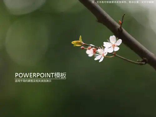 唯美简约梅花ppt模板
