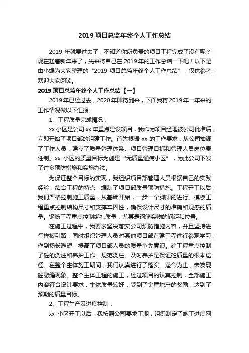 2019项目总监年终个人工作总结