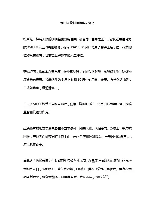 云山采松茸有哪些功效？