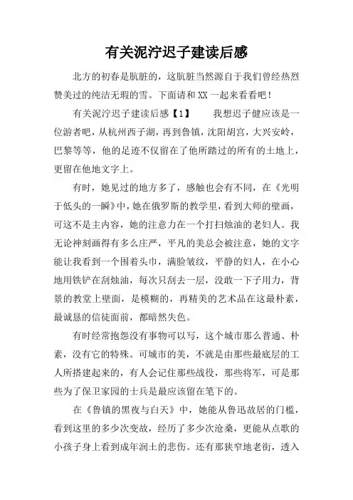 有关泥泞迟子建读后感