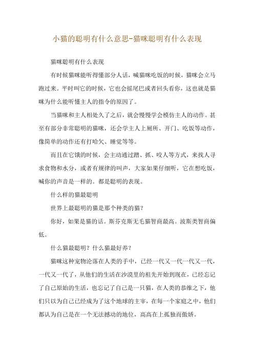 小猫的聪明有什么意思-猫咪聪明有什么表现