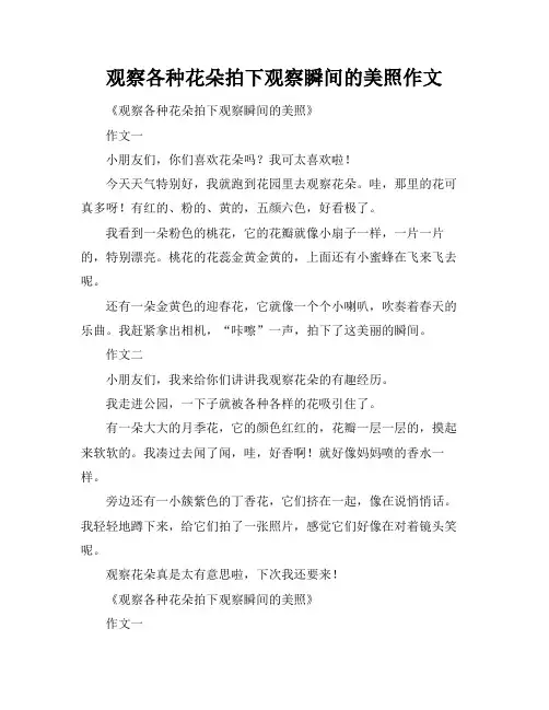 观察各种花朵拍下观察瞬间的美照作文