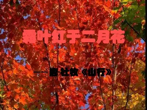 第一讲政治经济学导论-PPT课件