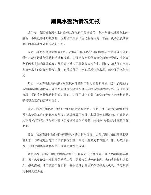 黑臭水整治情况汇报