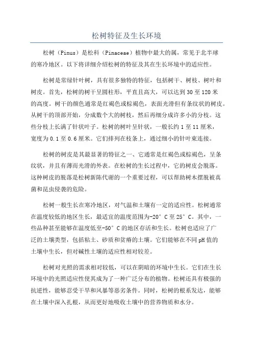 松树特征及生长环境