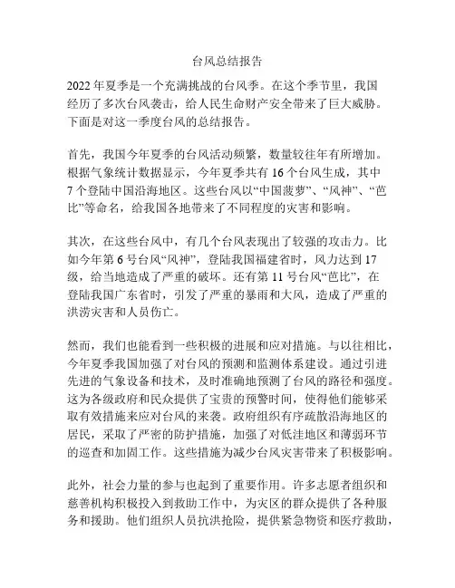 台风总结报告