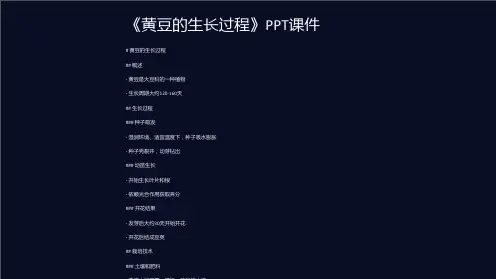 《黄豆的生长过程》课件