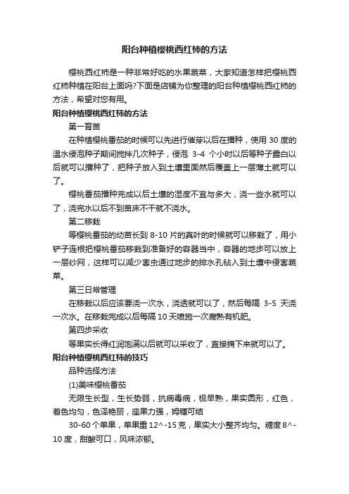 阳台种植樱桃西红柿的方法