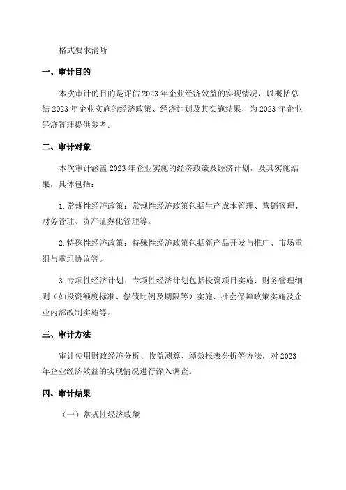 年度经济效益审计报告