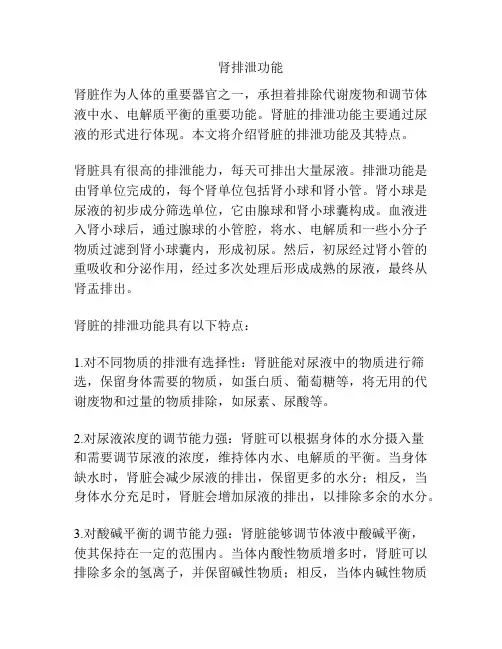肾排泄功能