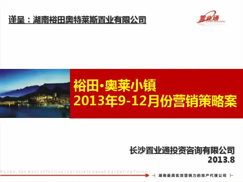 奥莱小镇提案报告