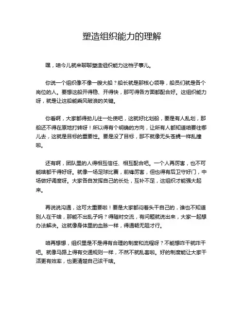 塑造组织能力的理解