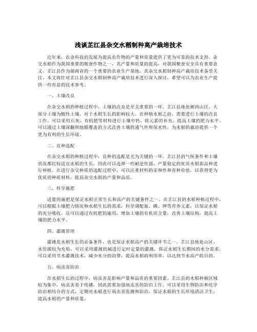 浅谈芷江县杂交水稻制种高产栽培技术