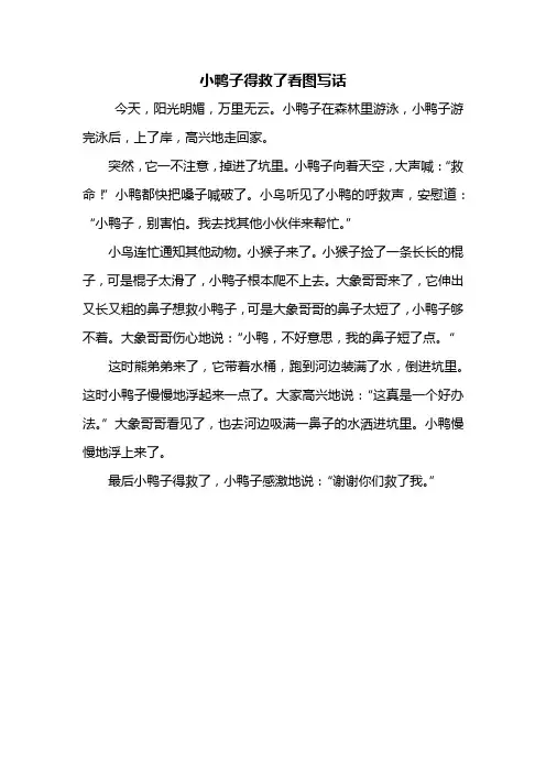 二年级作文：小鸭子得救了看图写话350字