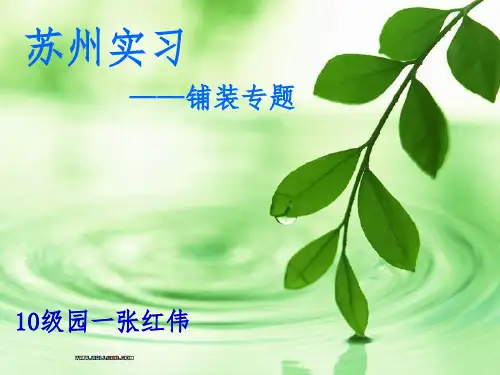 苏州园林铺装专题1
