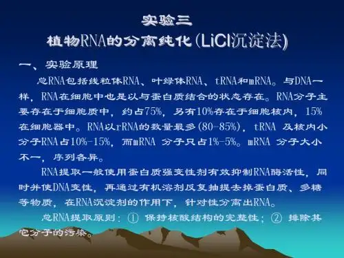 植物RNA的分离纯化(LiCl沉淀法)