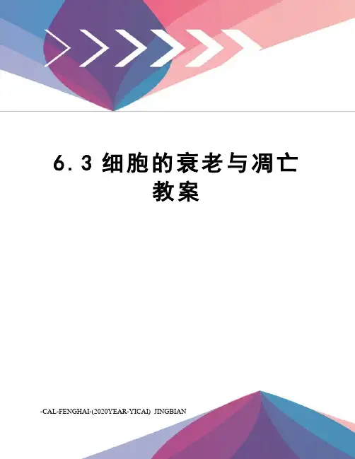 6.3细胞的衰老与凋亡教案