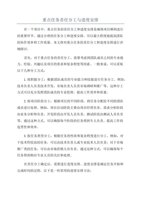 重点任务责任分工与进度安排