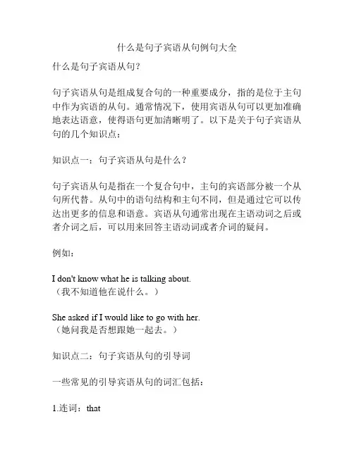 什么是句子宾语从句例句大全