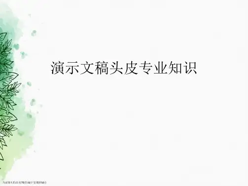演示文稿头皮专业知识