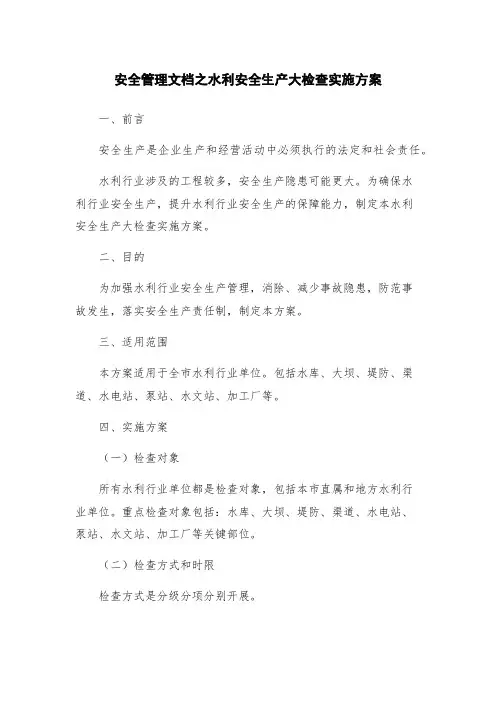 安全管理文档之水利安全生产大检查实施方案
