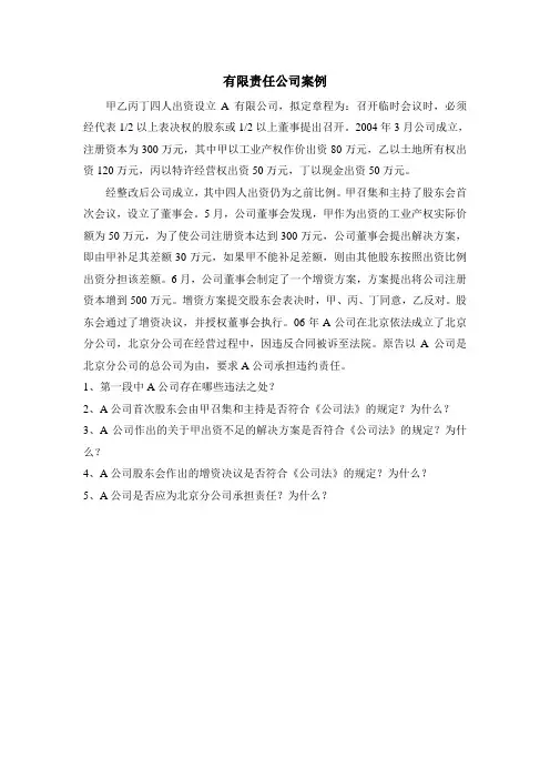 有限责任公司案例