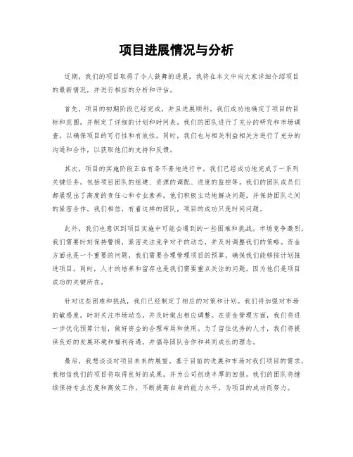 项目进展情况与分析