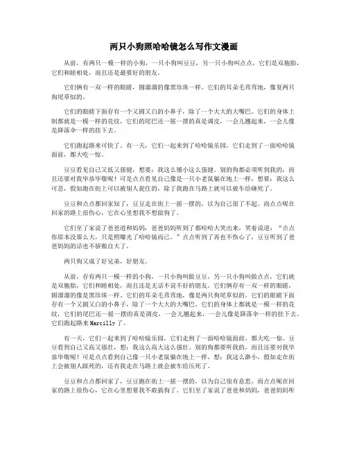 两只小狗照哈哈镜怎么写作文漫画