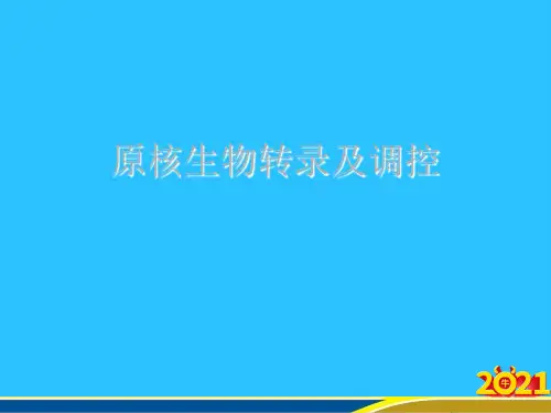 原核生物转录及调控常用资料