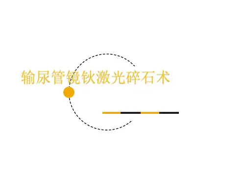 输尿管镜钬激光碎石宣教PPT课件