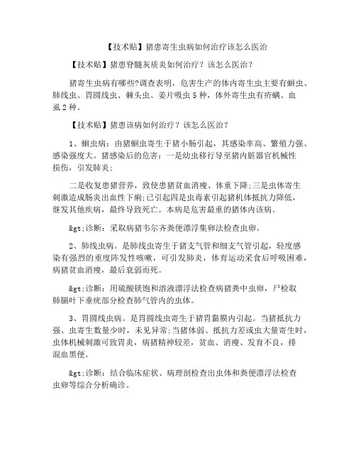 【技术贴】猪患寄生虫病如何治疗该怎么医治