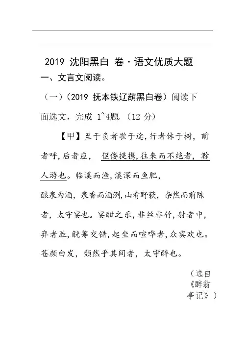 辽宁省沈阳市2019中考语文阅读题练习含精品解析