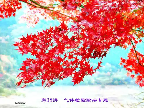 中考科学总复习 满分策略 第35讲 气体检验除杂专题课件