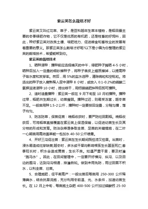 紫云英怎么栽培才好