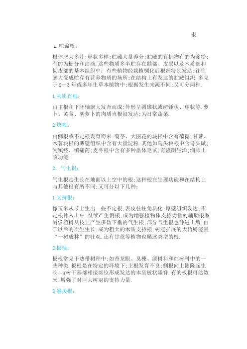 根茎叶的变态