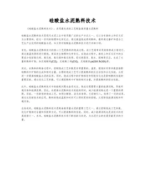 硅酸盐水泥熟料技术