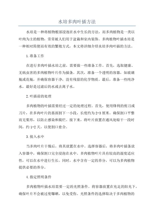 水培多肉叶插方法