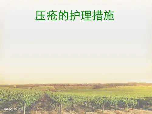 压疮的护理措施【优质PPT】