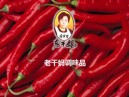 老干妈公司分析案例
