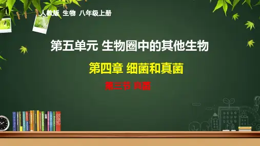 第三节真菌课件 人教版生物八年级上册