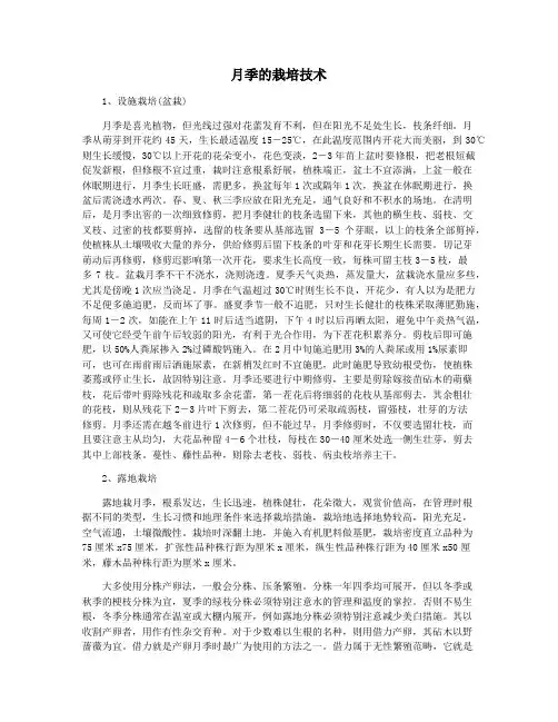 月季的栽培技术